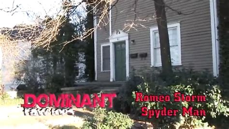 Black Stallions Domination Gay Bukkake Big Cock Porn XHamster