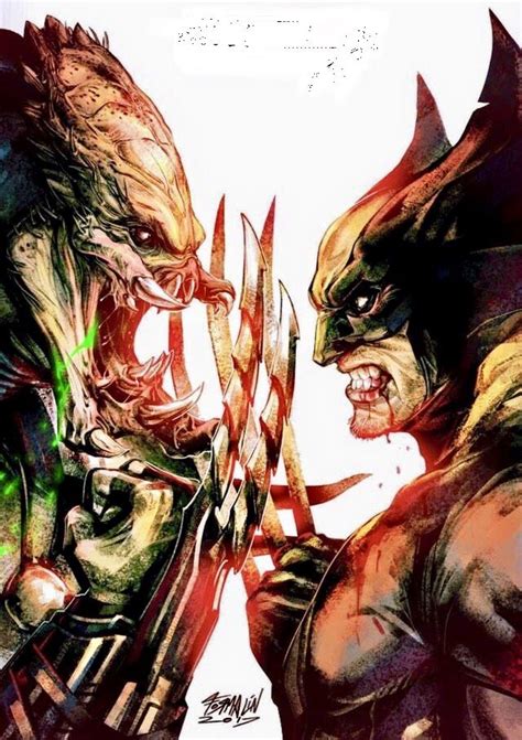 Predator Vs Wolverine Wolverine Artwork Predator Comics Wolverine Art