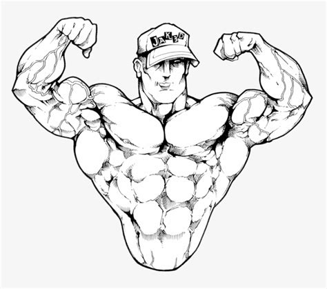 Front Double Bicep Drawing