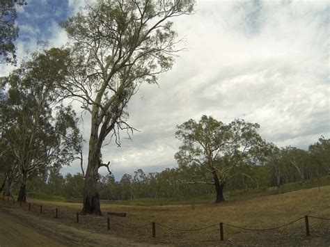 Barmah Lakes, Barmah National Park