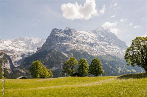 Grindelwald Dorf Eiger Eigernordwand First Wanderweg Alpen