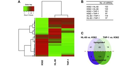 Differences In Mirna Expression Between Acute And Chronic Myeloid