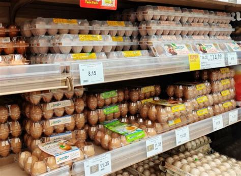 How To Choose The Best Eggs At The Grocery Store