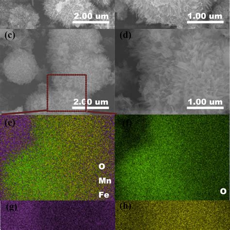 Typical SEM images of the as prepared α FeOOH a b and α FeOOH MnO2