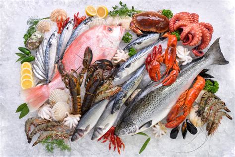 Frozen Fish Wholesaler India Frozen Fish Supplier Frozen Fish