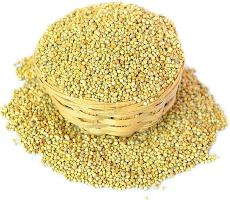 Buy P S Reseller Bajra Seeds Pearl Millet Seed For Bird Food Kg