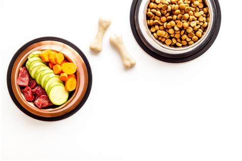 3 Of The Best Meals You Should Be Making for Your Dog