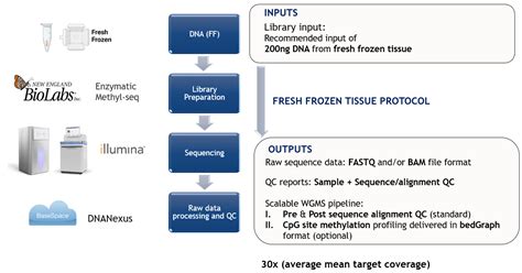 Whole Genome Methylation Sequencing Wgms Service Almac