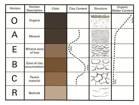 Soil horizons – Introduction to Soil Science