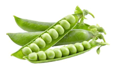 Pea Transparent Image Png All