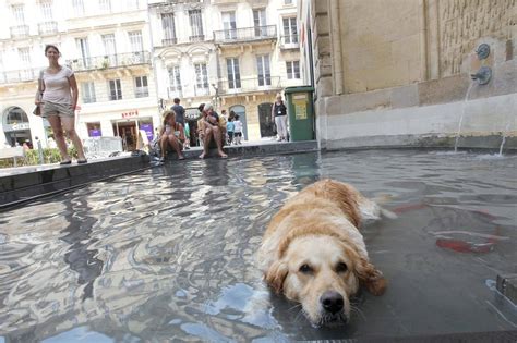 Nouvelle vague de chaleur 39 degrés attendus mardi dans le Sud Ouest