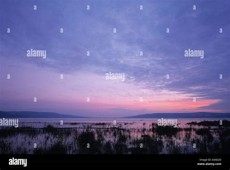 Sea of Galilee, Israel Stock Photo - Alamy