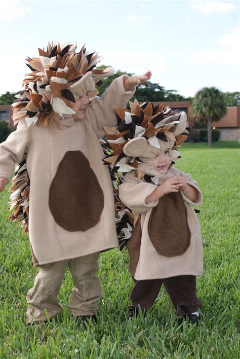 I Hold All The Cards: Hedgehog Costumes