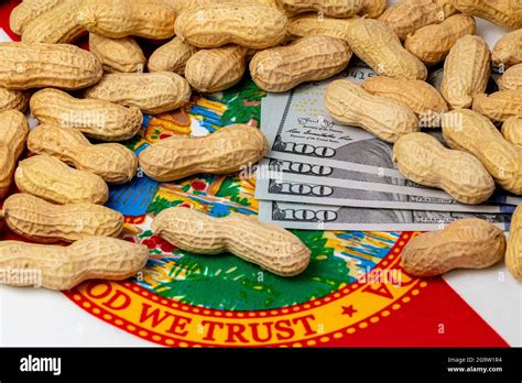 Peanuts In Shell On Flag Of Florida With Cash Money Concept Of Peanut