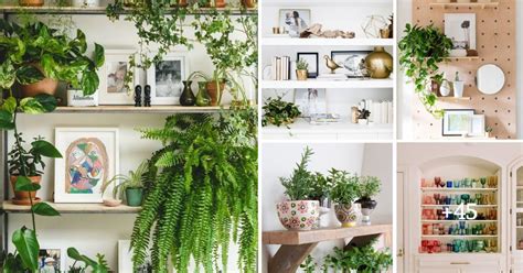 50 Shelf Decor Ideas That Are Functional And Beautiful