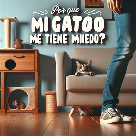 Descubre las Razones Por qué mi gato me tiene miedo Guía para