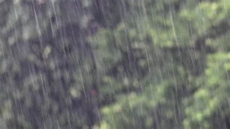 Stock Video Heavy Rain Falling Animated Wallpaper