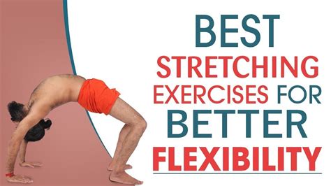 Best Stretching Exercises to Increase Your Flexibility – HealthAcharya