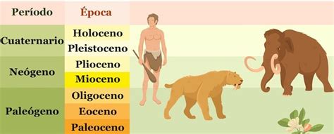 Concepto De Época En Historia En Geología Y Más