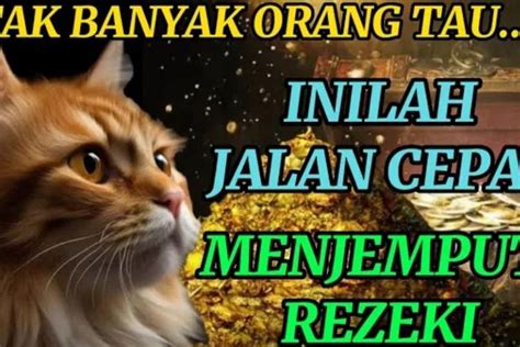 Bikin Pekarangan Jadi Sejuk Dan Asri Ini Rekomendasi Tanaman Bunga