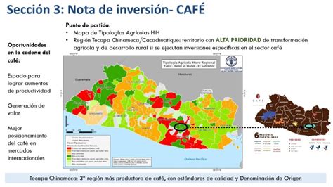 FAO destaca alto potencial de El Salvador para cultivo de café