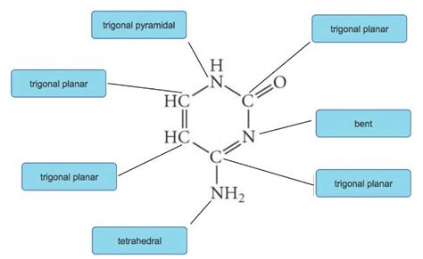 Solved Assign An Electron Geometry To Each Interior Atom In Cytosine