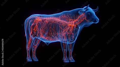 3d Medical Illustration Of A Cows Nervous System Stock Illustration