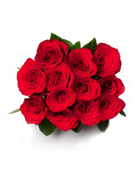 Compact Bunch Of 12 Red Roses Flower Bouquet Delivery In Jaipur