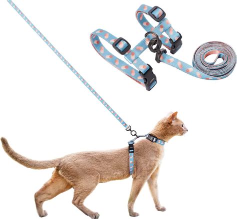 Amazon Cat Harness And Leash Set Escape Proof Adjustable Cat