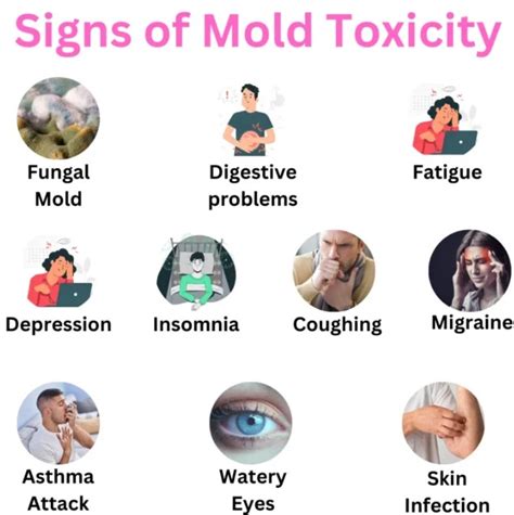 Warning Signs Of Mold Toxicity Healthfyy