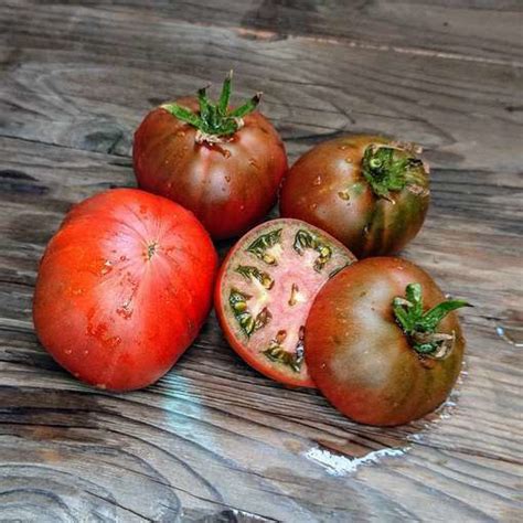 Maura S Cardinal Dwarf Tomato Project Meraki Seeds