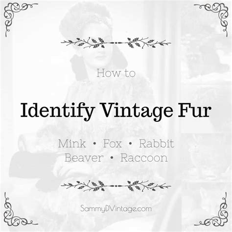 How to Identify Vintage Mink, Fox, Rabbit, Beaver & Raccoon Furs