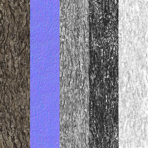 Seamless Pine Tree Bark Texture