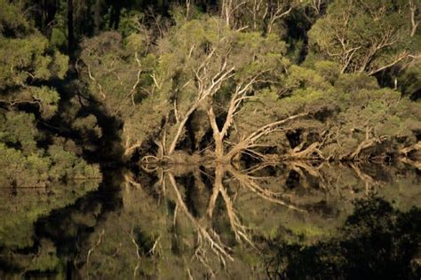 Upper Murray River Camping