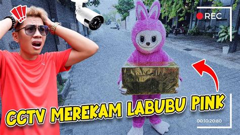 Dikira Bohongan Cctv Merekam Jelas Labubu Pink Membawa Paket