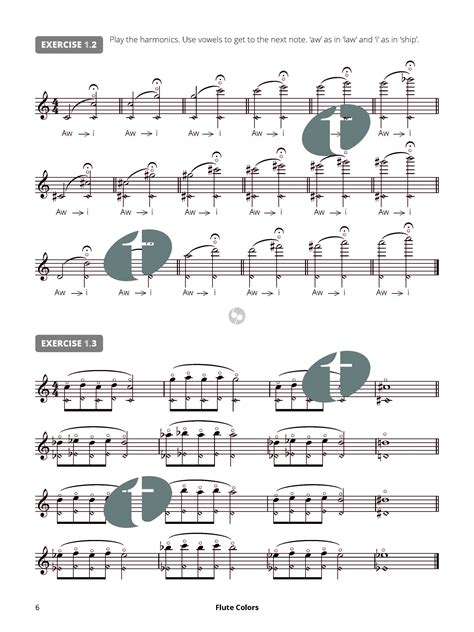 Flute Colors Extended Techniques For Flute Rogier De Pijper