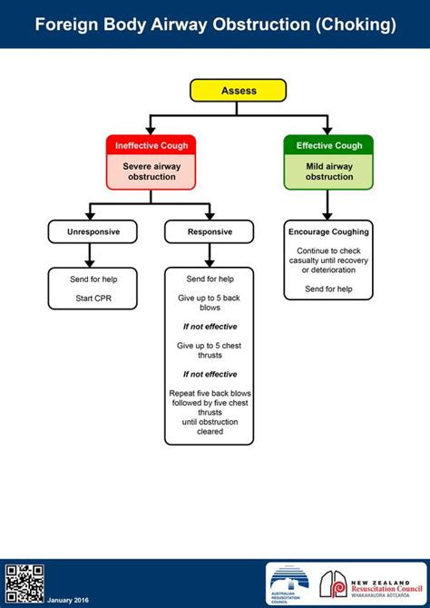 Anzcor Guideline 4 Airway Summary New Zealand Resuscitation