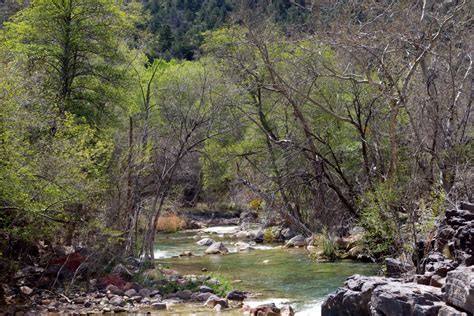 Fotos Gratis Rbol Bosque Desierto Lago R O Valle Estanque