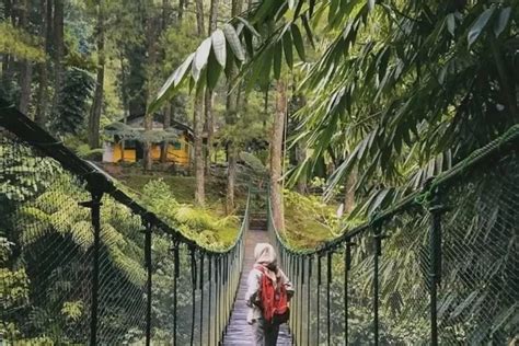 Tempat Wisata Murah Dan Menarik Di Bogor Nikmati Keindahan Alam Dan