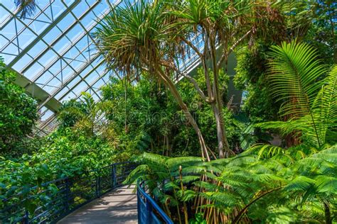 Bicentennial Conservatory at Botanic Garden in Adelaide, Australia ...