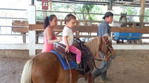 Centro Telet N Ya Incluy En Sus Intervenciones Terap Uticas La Equino