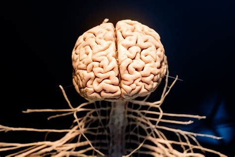 Nervous students are counting down to the Cornell ED release date 3