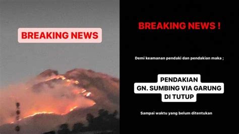 Kebakaran Lereng Gunung Sumbing Pendakian Ditutup Mulai Jumat 1