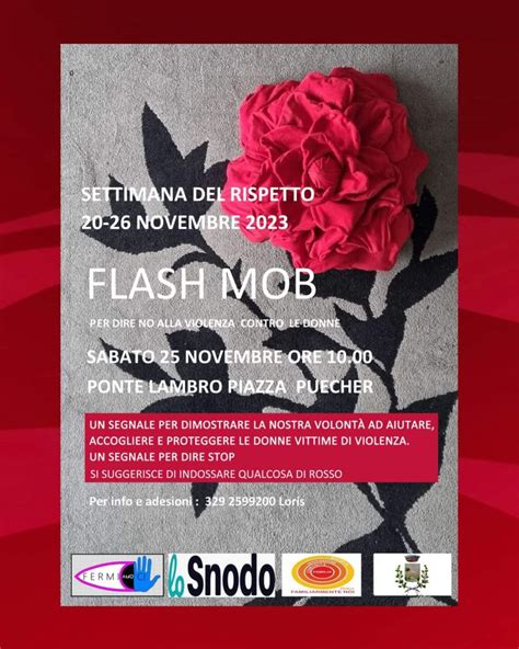 Un Convegno E Un Flash Mob Contro La Violenza Sulle Donne Erbanotizie