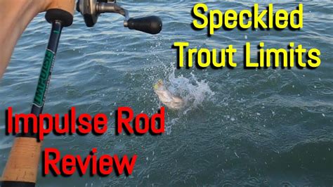 Speckled Trout Limits Impulse Rod Review Youtube