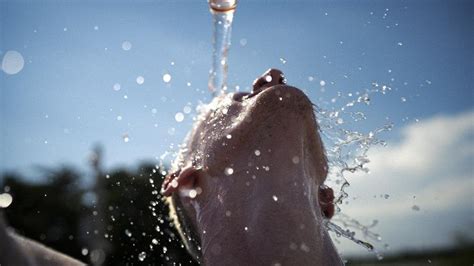 Ministério da Saúde divulga orientações e cuidados diante do calor RS