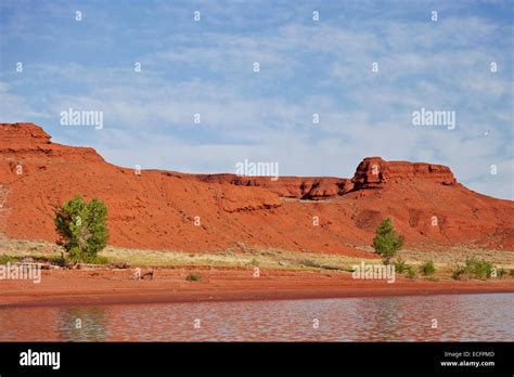 Bighorn Canyon National Recreation Area Stock Photo - Alamy