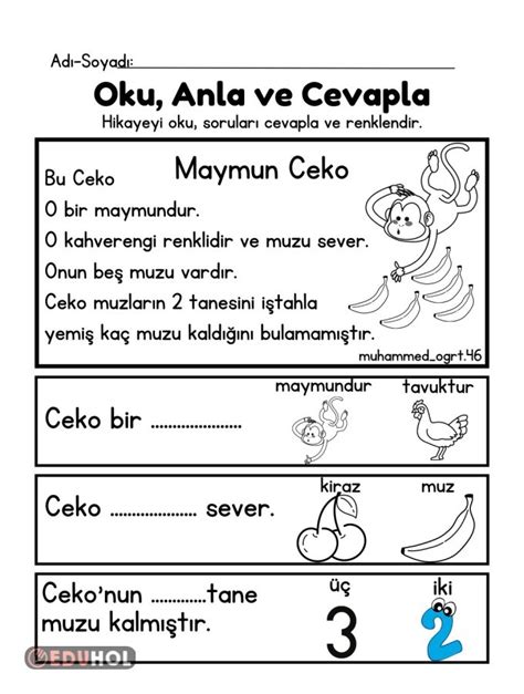 Oku Anla Soruları Cevapla Ve Eduhol Ders Videoları İzle Online