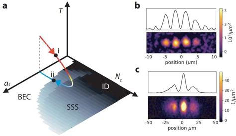 Technique characterizes phases of superfluids changing to supersolids ...