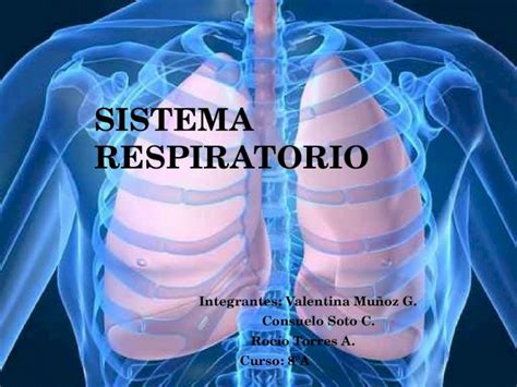 PPTX Sistema Respiratorio PPT File Web View 2012 06